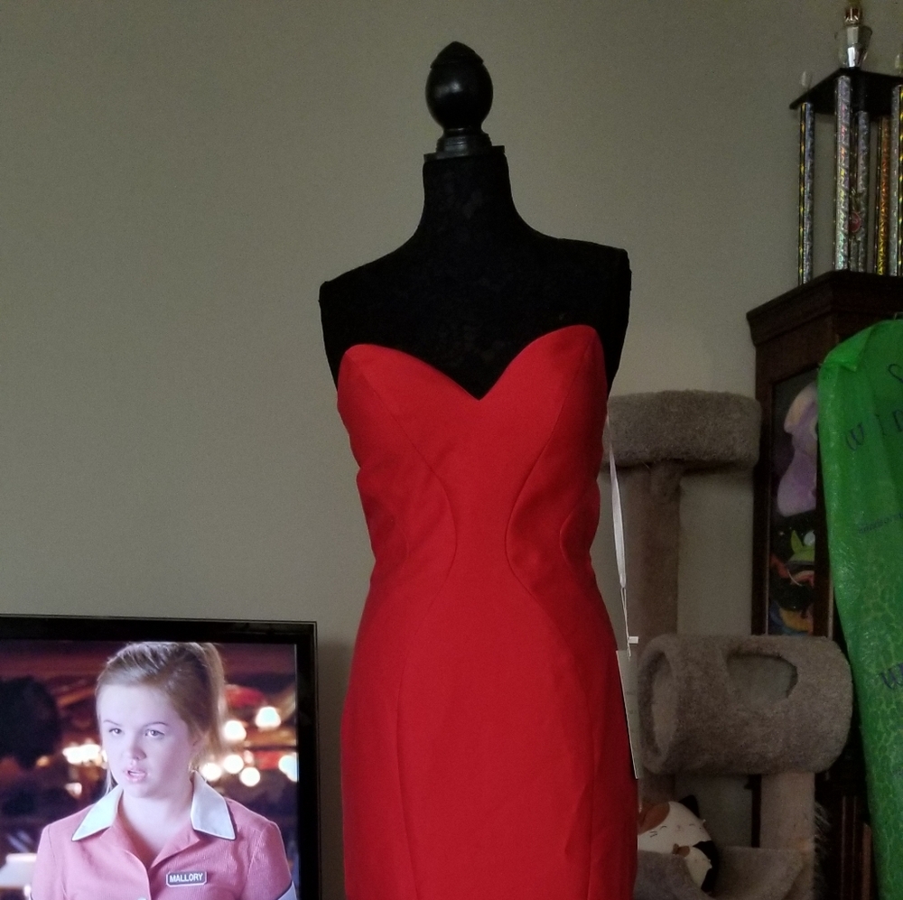 Rachel Allan Gown